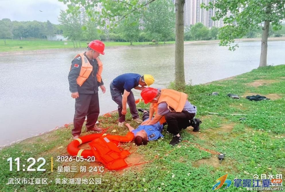 党员带头、精准施策！江夏城运“红色服务”让城市游园更“靓”更安心