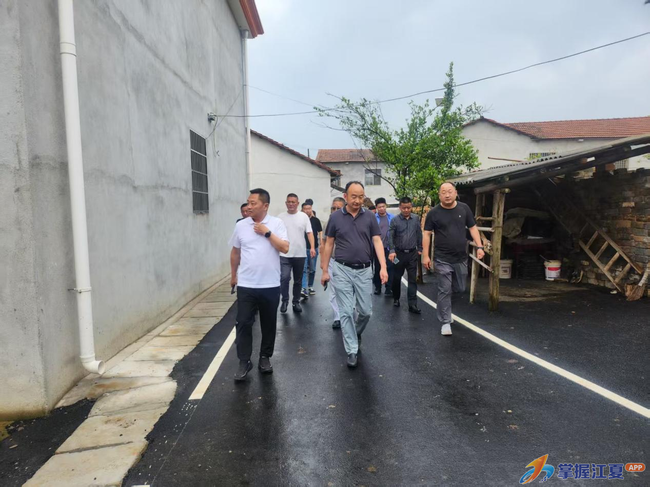 实地督导查实效，精细治理促提升——江夏区多部门联合督查舒安街和美乡村建设工作
