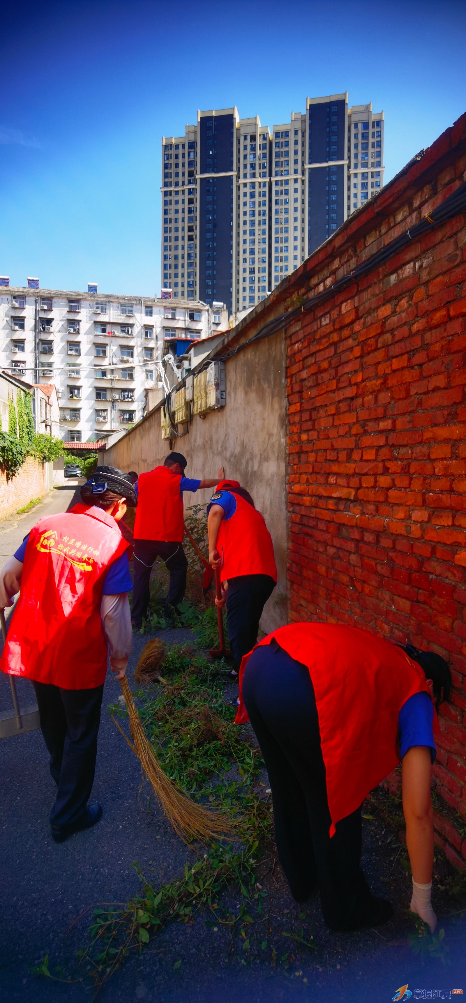 共建项目见实效 背街小巷焕新颜