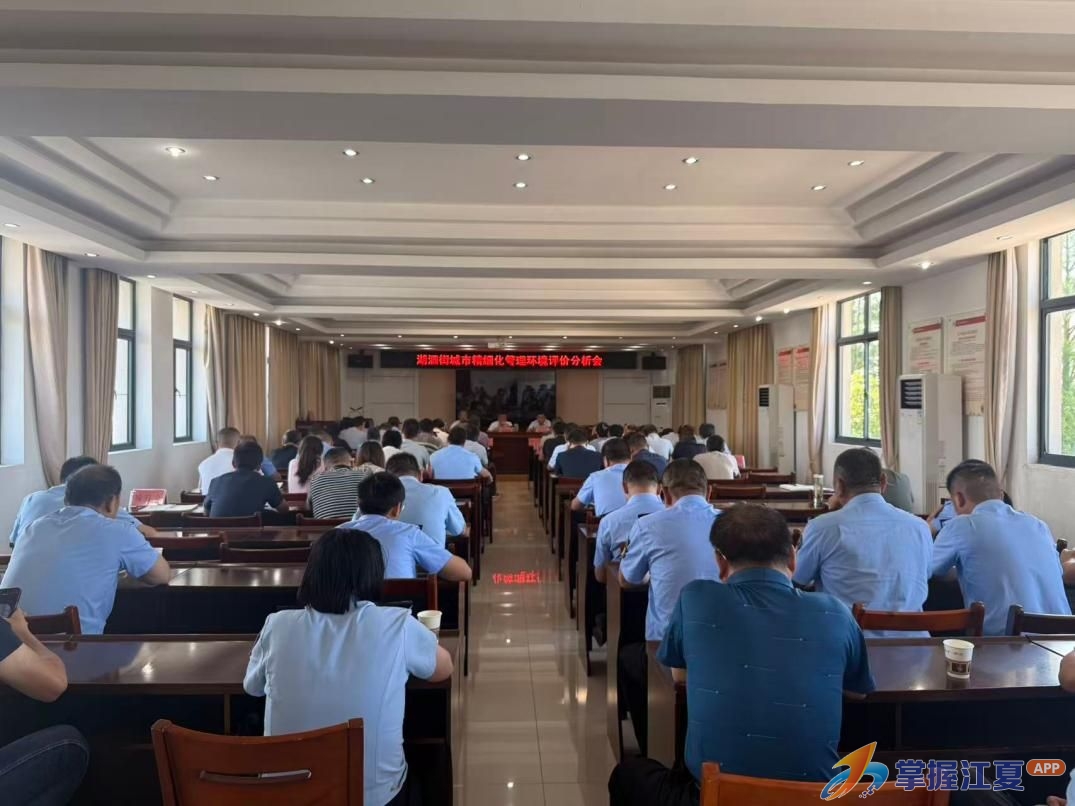湖泗街道召开城市精细化管理环境评价分析会