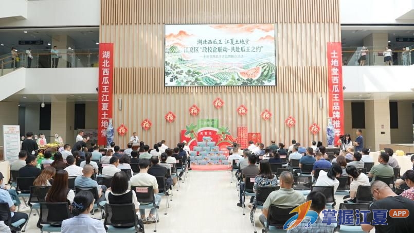 政务大厅飘瓜香 江夏区土地堂西瓜王老品牌推介活动举行