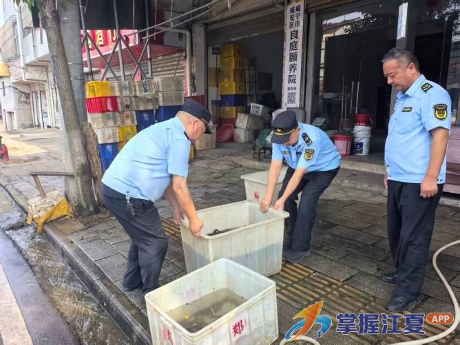 山坡街保福社区：城市精细化管理有深度 人性化执法显民生温度