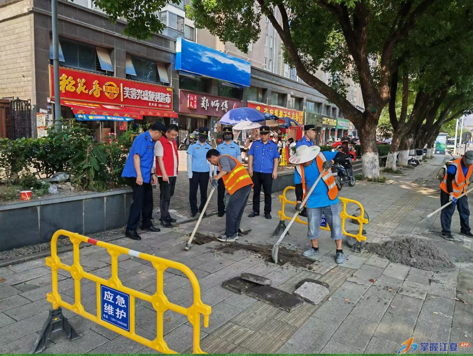 商户“吹哨”，城管“报到”！江夏商户自治联盟打通便民服务快车道