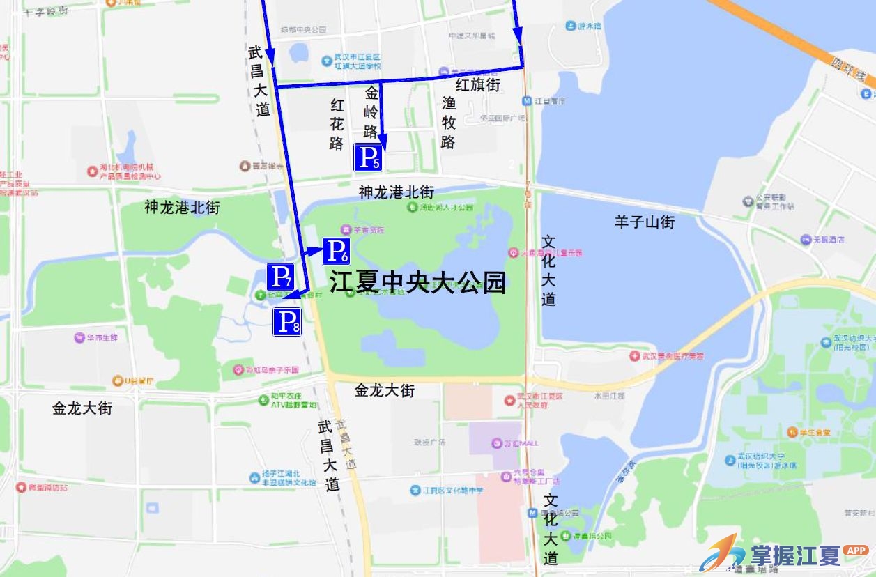 2026年端午全国龙舟赛本周末燃情开赛，出行、停车看这里！