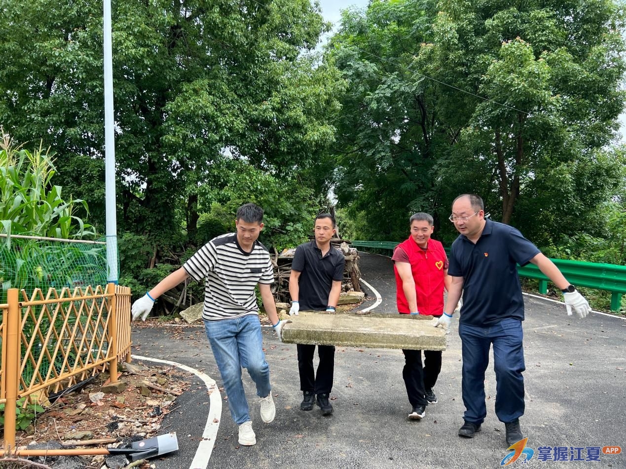 党建引领人居提质 齐心共建和美乡村——舒安街开展“清洁家园”特色主题党日活动