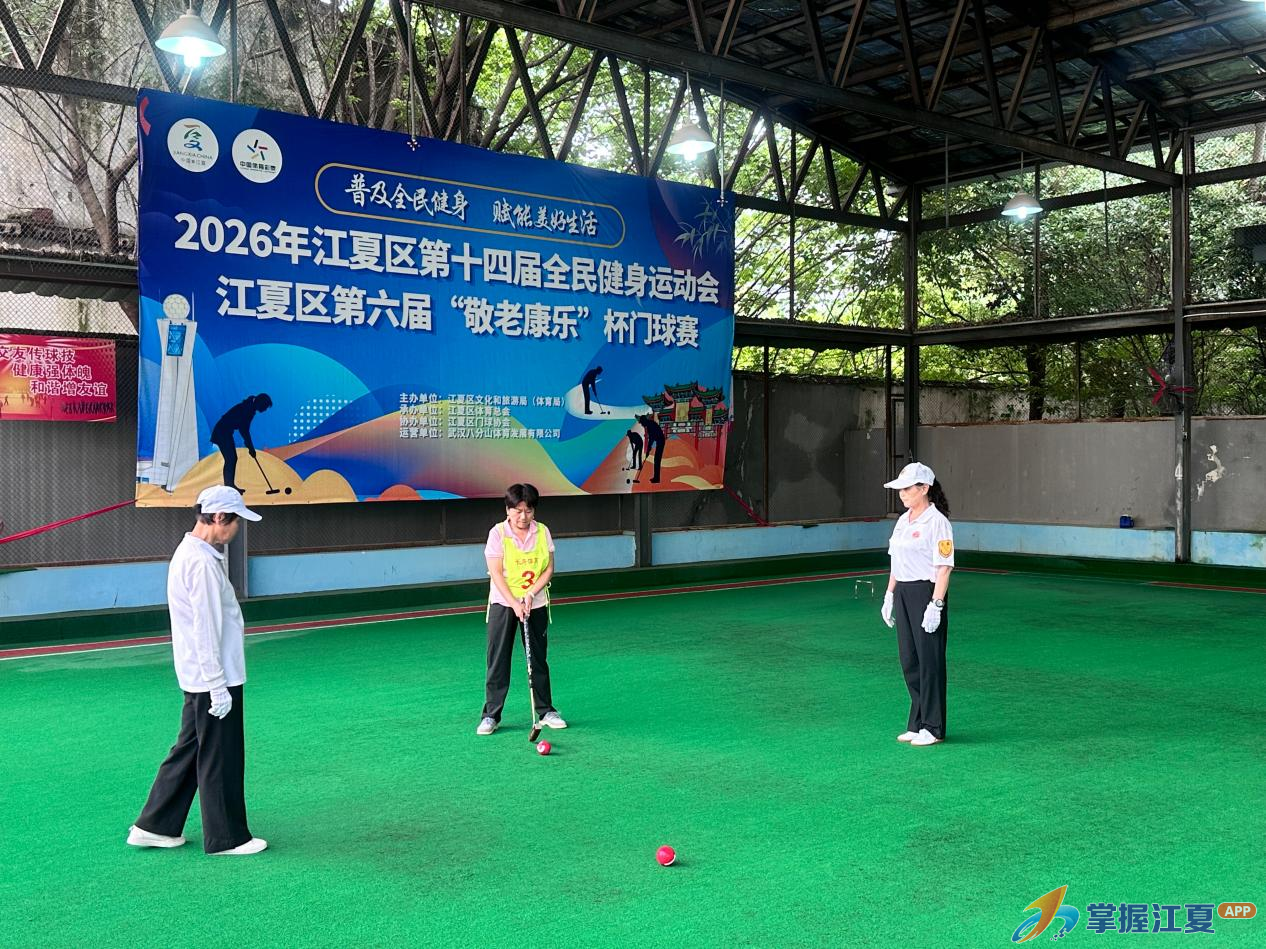 击球奋进！2026年江夏区第十四届全民健身运动会暨第六届“敬老康乐”杯门球赛圆满落幕