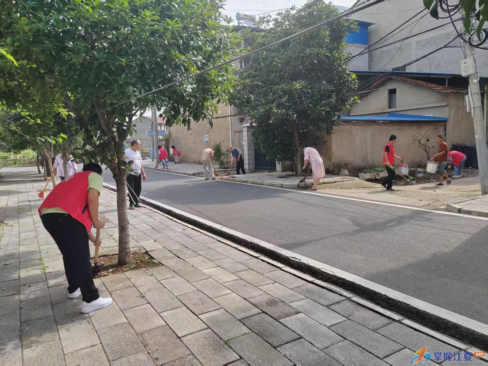 金水办事处农科所大队开展全域环境整治专项行动