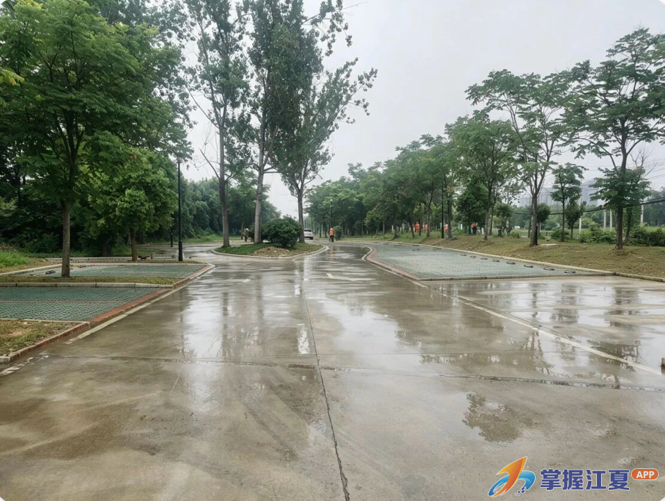 江夏城运公司：水上龙舟竞渡，岸上停车“通达”