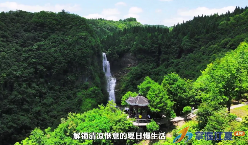避暑纳凉游升温！利川凤栖林秘境成暑期出游新宠