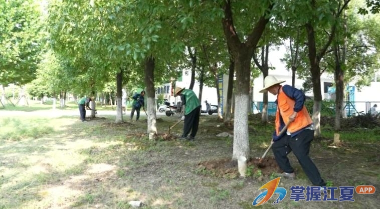 园林抗旱跑出精细化管理新思路 科学养护保障城市绿植生长