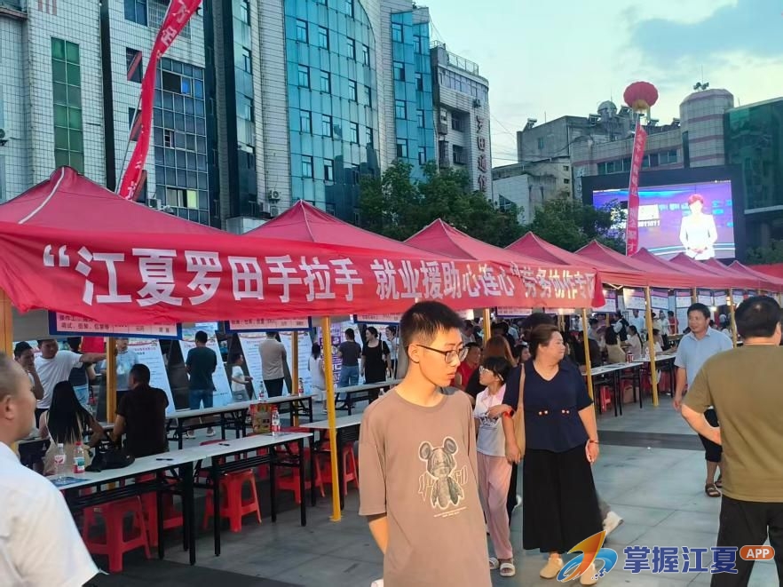 夜市纳凉也能找工作！江夏罗田“手拉手”搭起就业“连心桥”