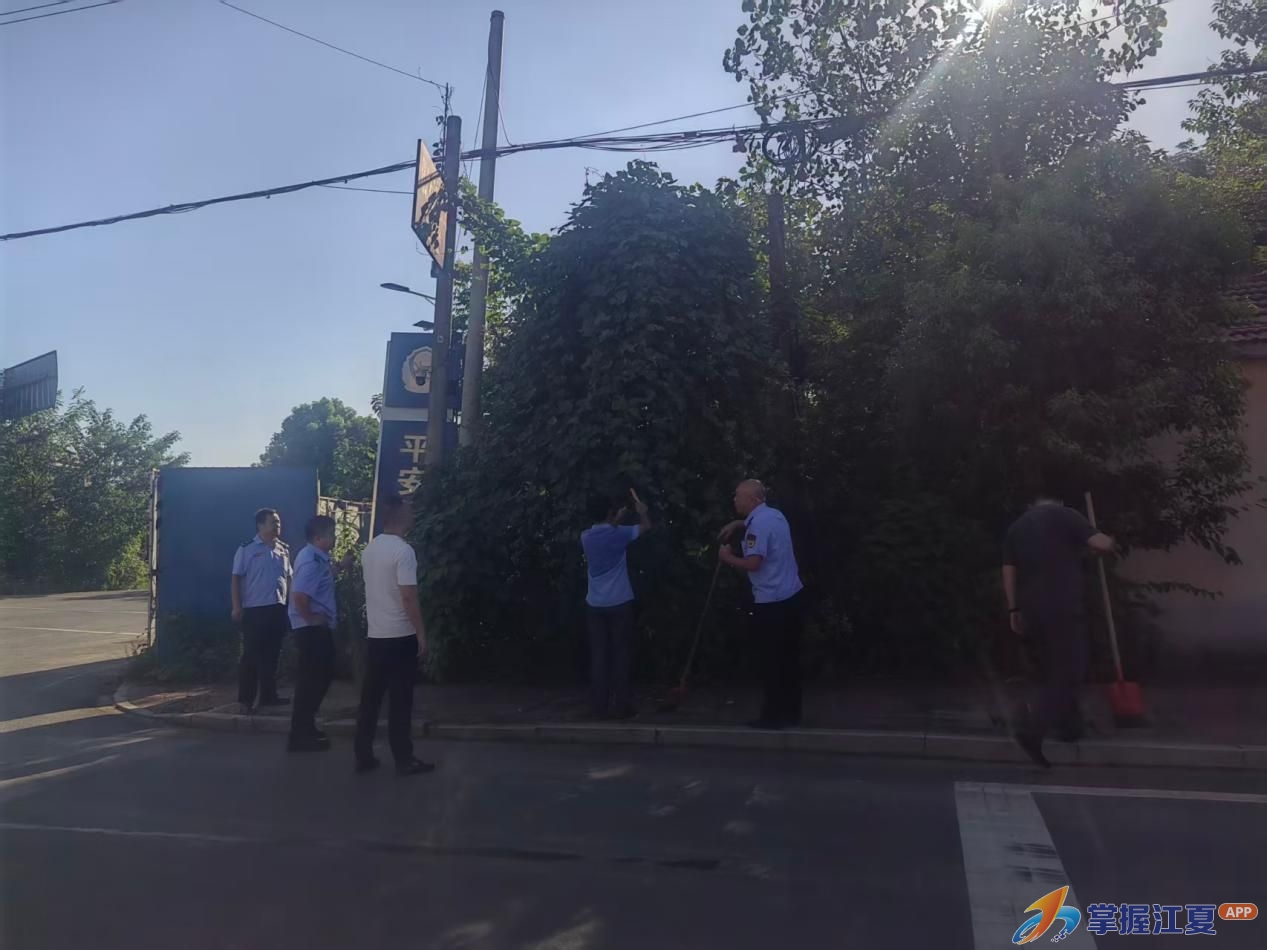 向交界“灰色地带”说不 舒安街环境整治不留边角
