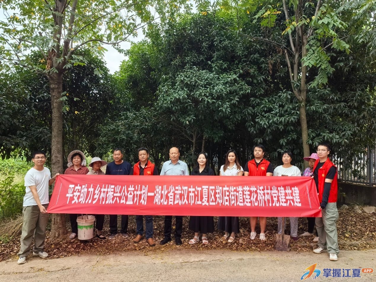 党建共建助力乡村振兴，平安产险3万元专项捐赠赋能江夏莲花桥村环境焕新