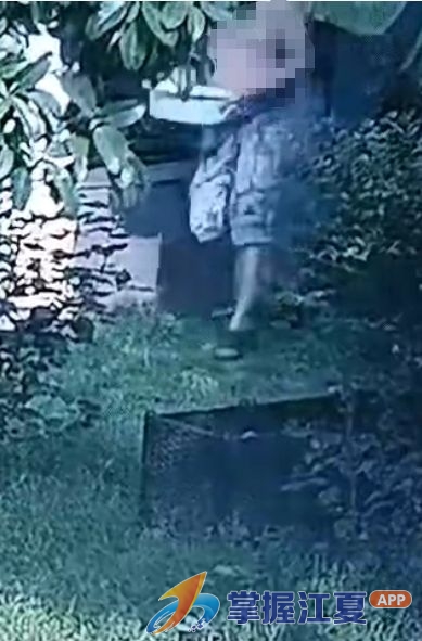 21盆水逆行救火！江夏好邻居挺身而出守护邻里安危