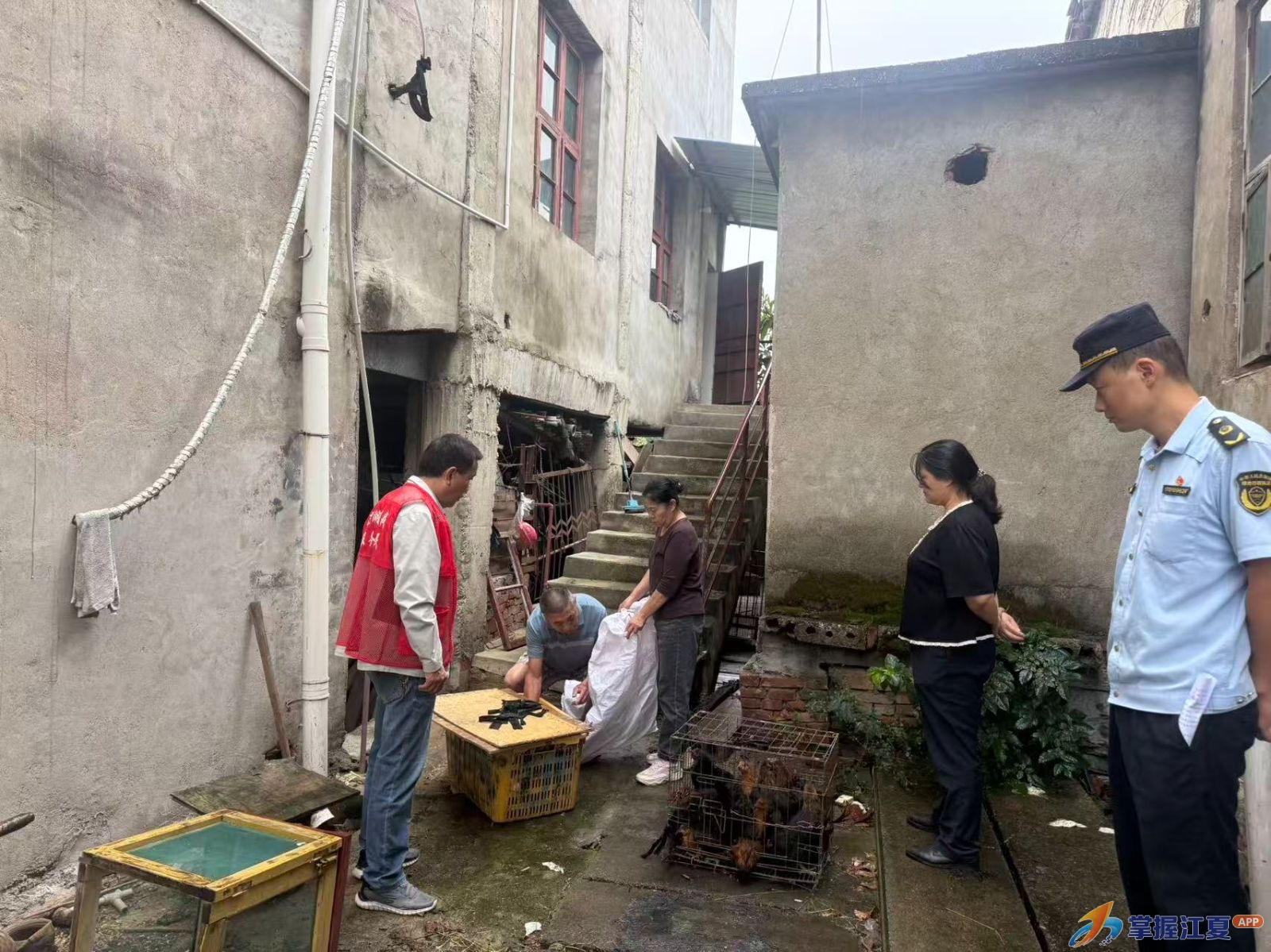 城管进社区 服务解民忧——金口街综合执法中心柔性执法化解“鸡鸭扰邻”纠纷