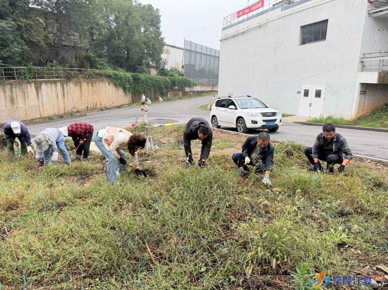 党建引领村企共建 清洁家园助力振兴 ——金口街开展村企共建清洁家园活动