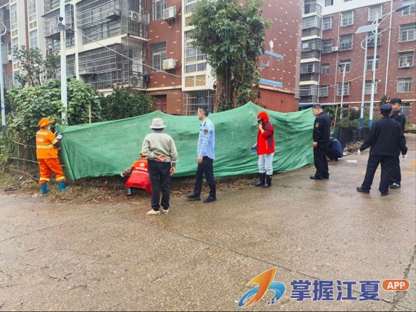 聚力联动治顽疾 精雕细琢焕新颜 ——郑店街道开展小区周边环境提质专项整治行动