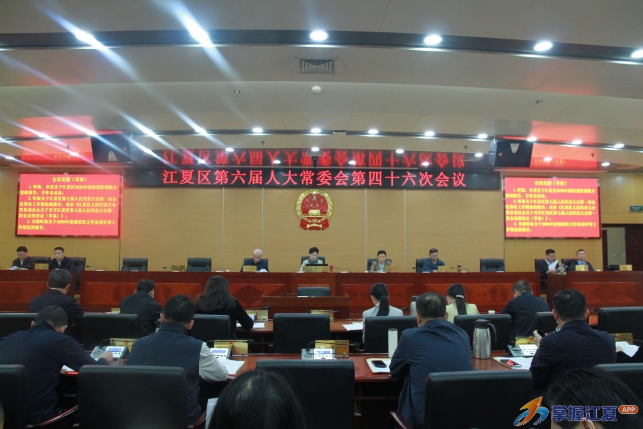 区六届人大常委会召开第四十六次会议
