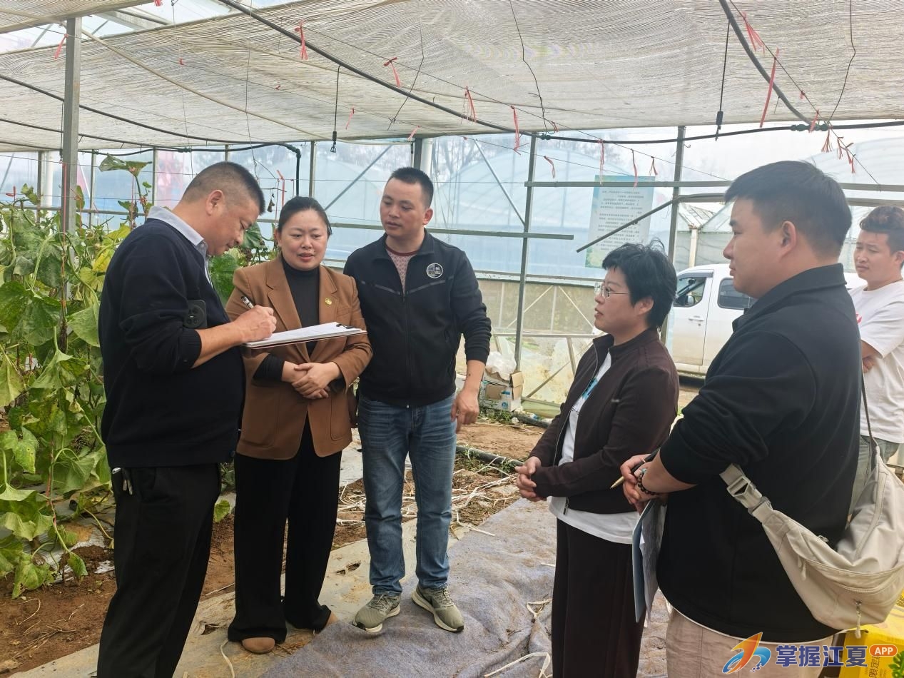 结业不散场、老师再上门！江夏新农人田间地头迎来“回炉课”